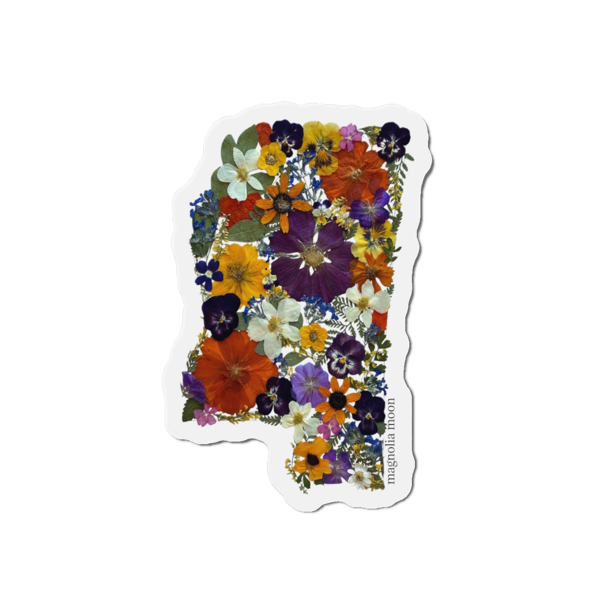 Magnet - Mississippi